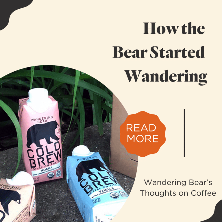 How the Bear Started Wandering