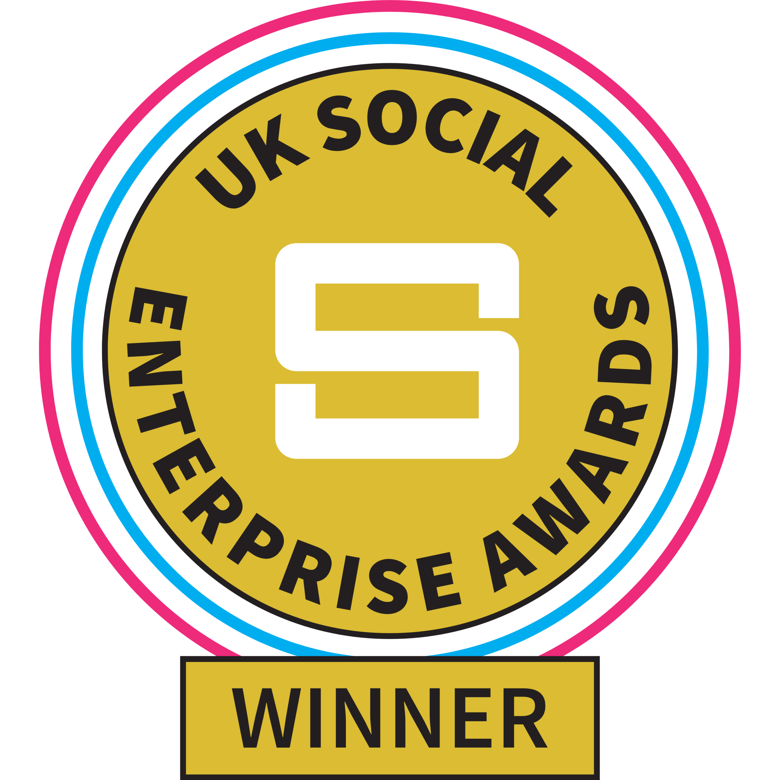UK Social Enterprise Awards Winner Icon